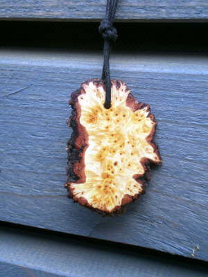 Birkenknolle